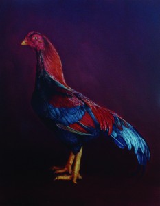Red Gamecock